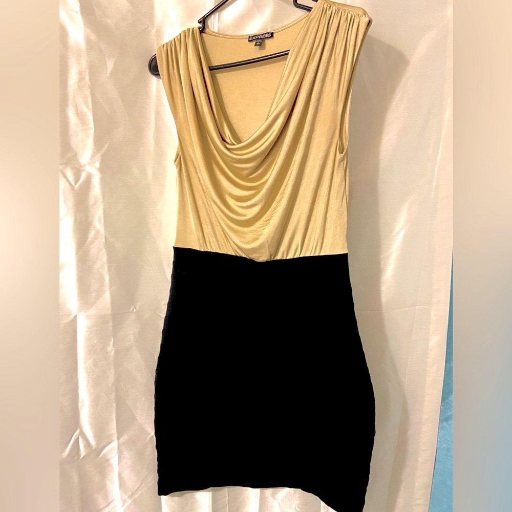 Express Dress